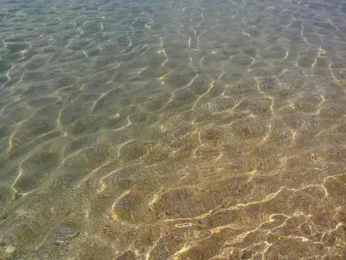 Маклер - главное фото