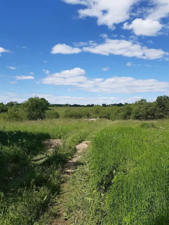 Guest House Izbushka - главное фото