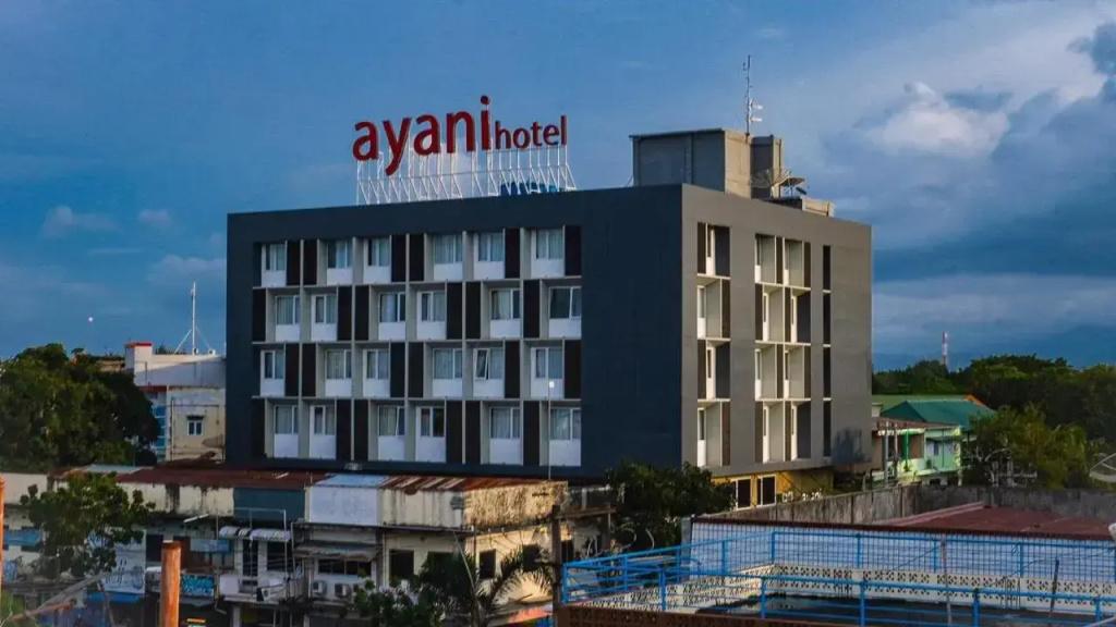 Ayani Hotel - главное фото