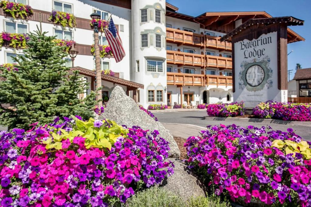 Bavarian Lodge - главное фото