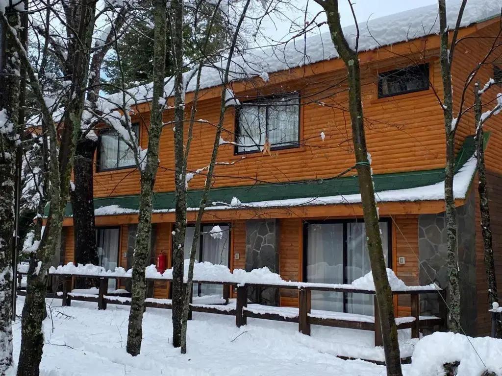 Cabanas Bordenieve - главное фото