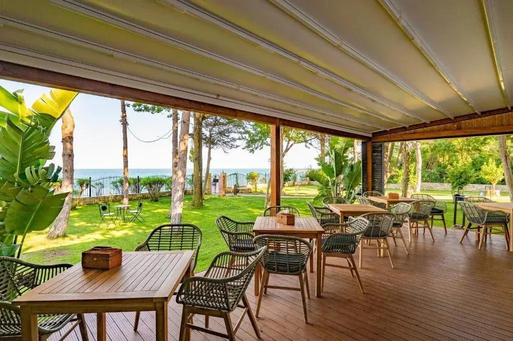 Beachfront Epico Olimp cm - главное фото