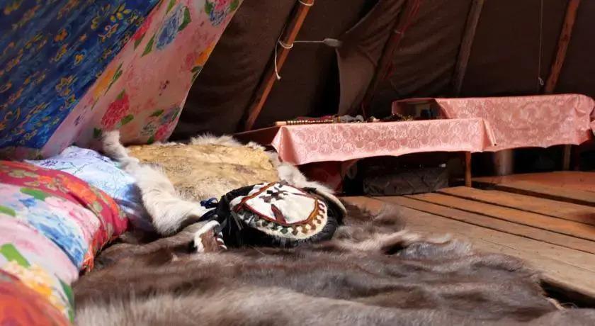 ГБУ Центр Арктического туризма - главное фото