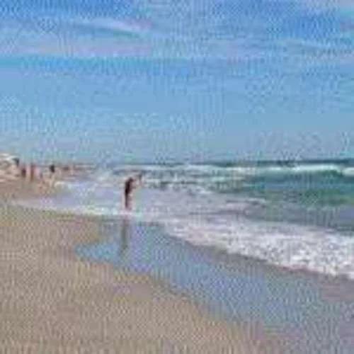 Rozental - главное фото