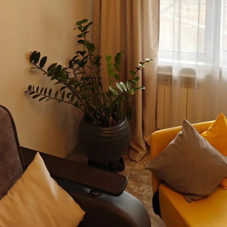 Апартаменты в Квартале 206 - главное фото