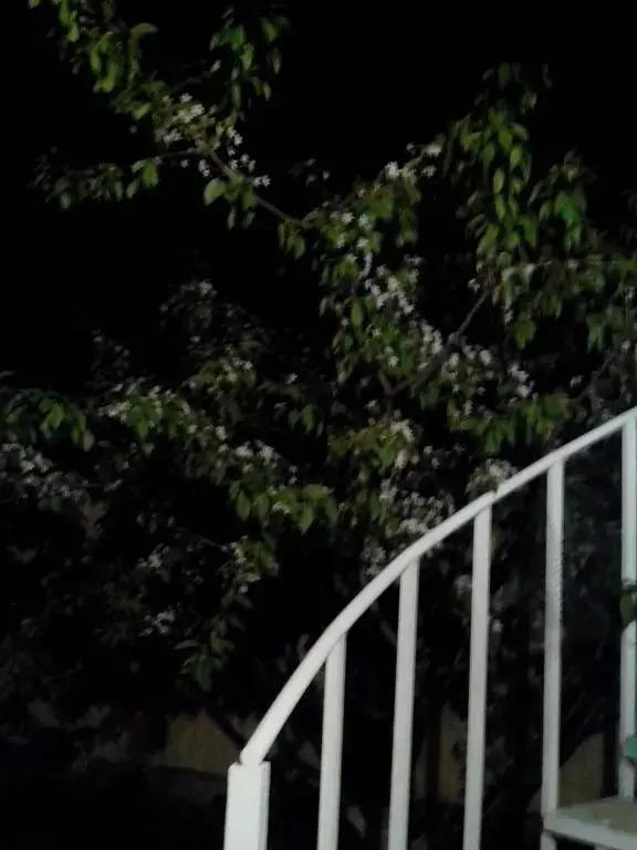 Guesthouse Pioner - главное фото