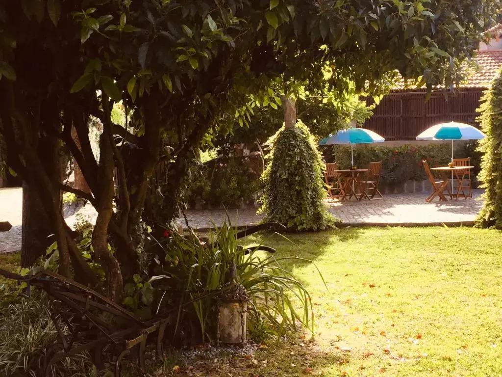 Quinta Padre Lobo - главное фото