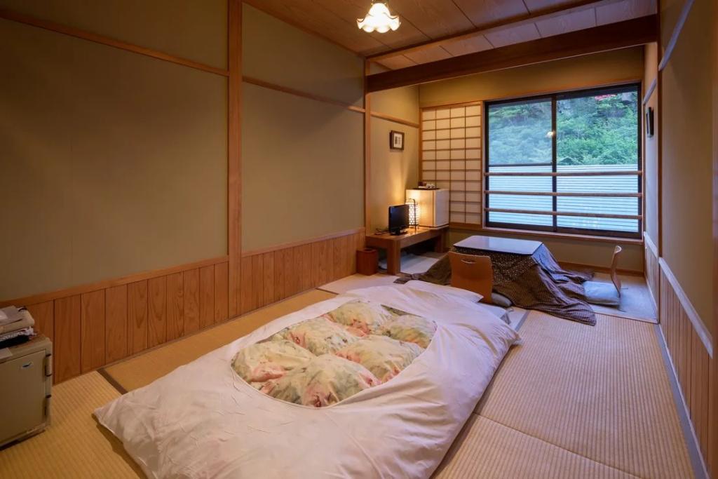 Gaga Onsen - главное фото