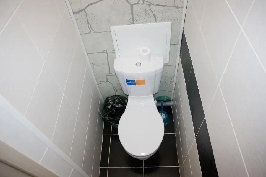 Барбарис на улице Ломоносова - главное фото