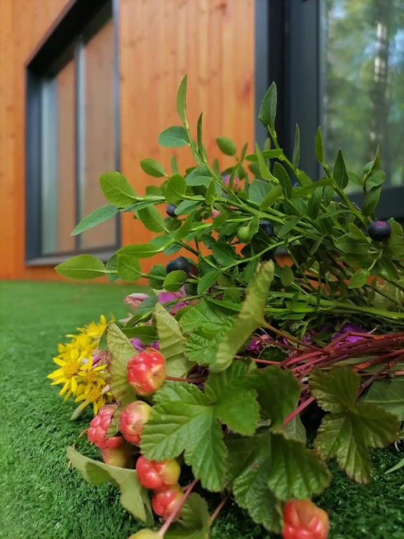 Частный дом на Ленина 43 - главное фото