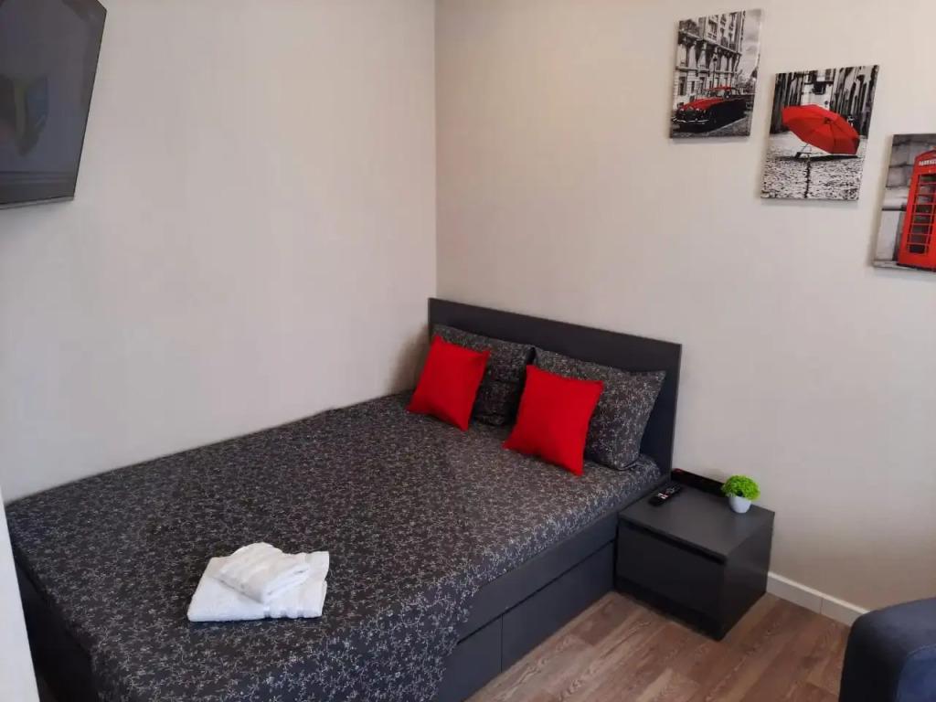 Квартира 1-о комнатный люкс на Солдатова 12/1 - главное фото