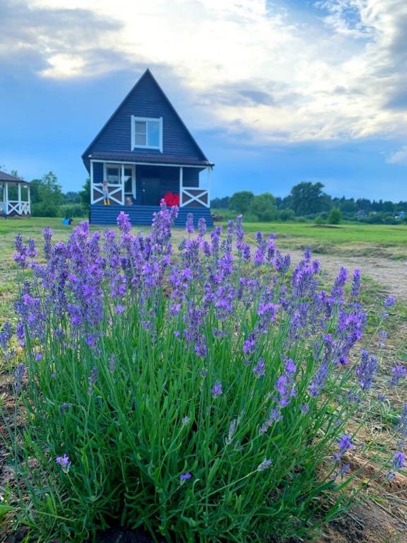 Гостевой дом LaДеревня - главное фото