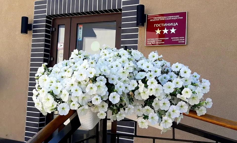 Мини-Отель Геркулес - главное фото