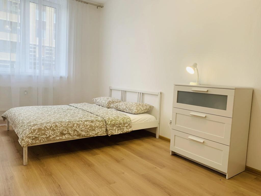 Апартаменты у Центра Петрова в Песочном - главное фото