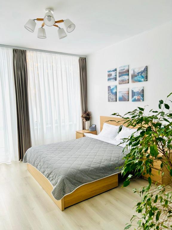 Апартаменты Бриз на Берегу Финского Залива - главное фото