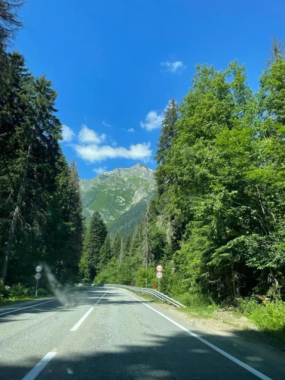 Гостевой дом Дача МиСо Теберда by Dombay Flats - главное фото