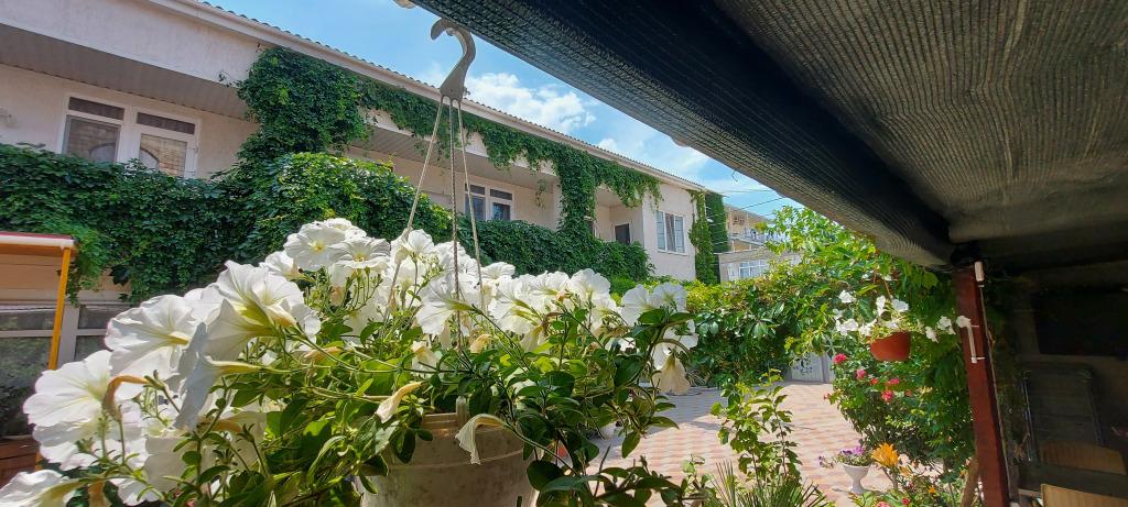 Гостевой дом Виктория - главное фото