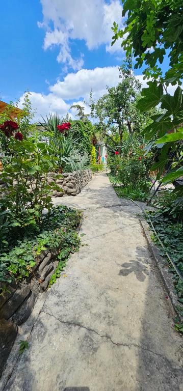 Гостевой Дом Янаки - главное фото