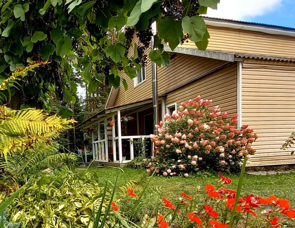 Дом у сосен - главное фото