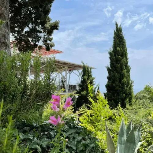 Kuru Ozen - главное фото