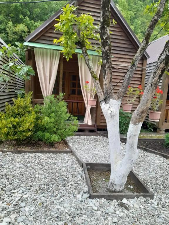 Гостевой дом Фазенда - главное фото