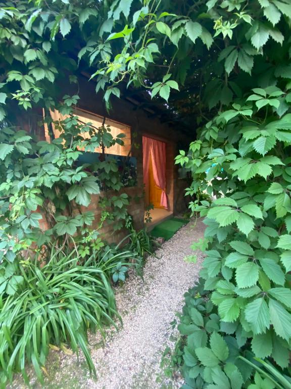 Частный дом семейный 6 - главное фото