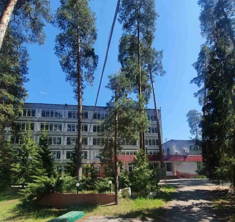 Санаторий ООО Санаторий "Сосновый бор" - главное фото