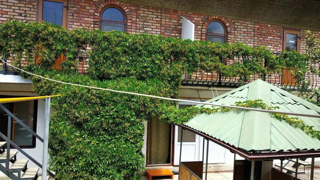 Гостевой дом Уютный дворик - главное фото