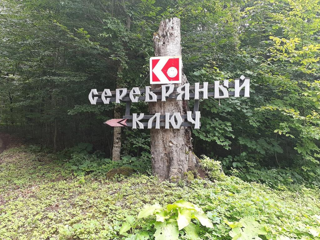 Шале Серебряный Ключ Лаго-Наки - главное фото