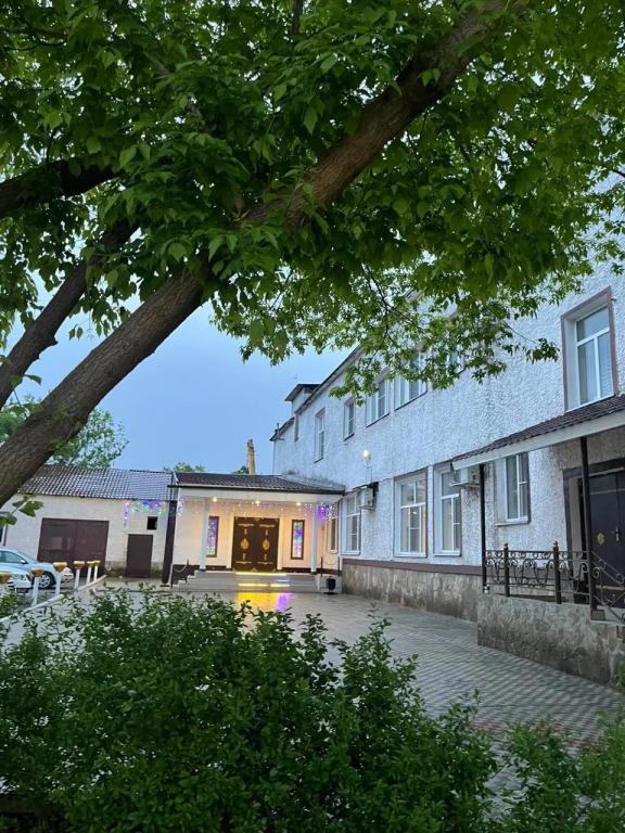 Айлин - главное фото