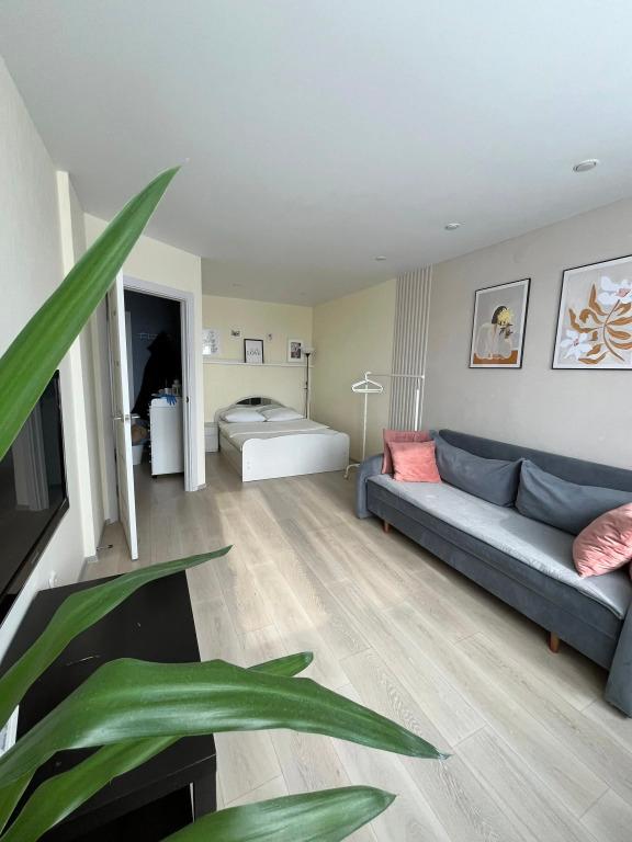 Квартира Лазурный - главное фото