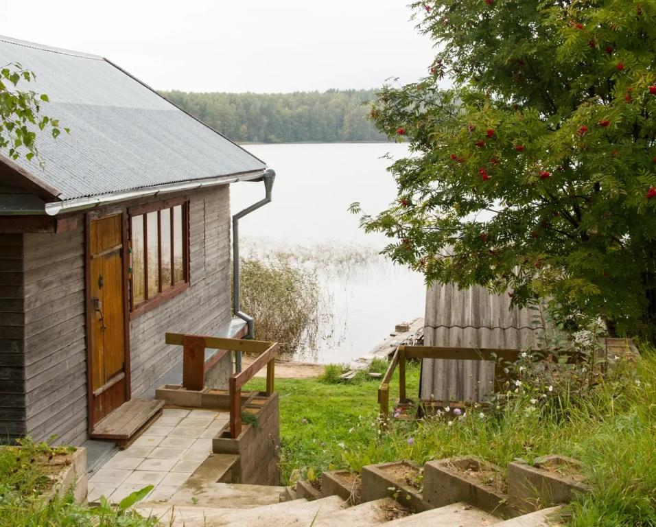 База отдыха У Максимыча на Селигере - главное фото