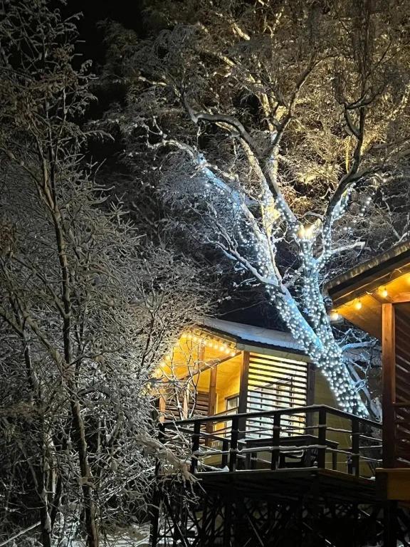 Частный дом Веселые гуси 1 - главное фото