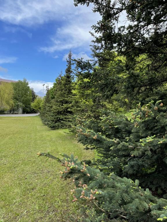 Санаторий Сокол - главное фото