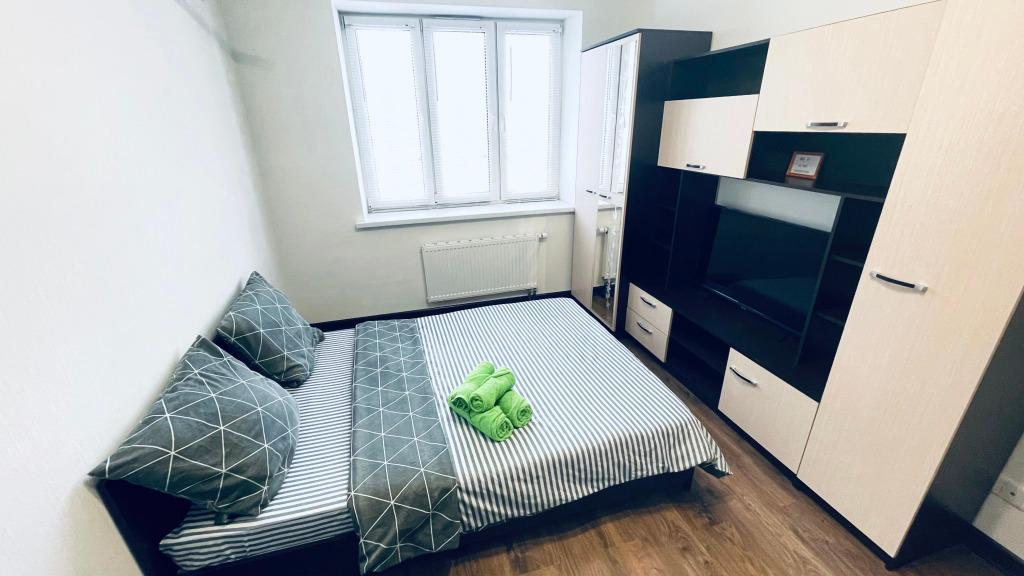 Апартаменты Просвещения 12/1 - главное фото