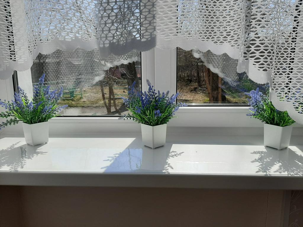 Квартира Ваш дом в Карелии - главное фото