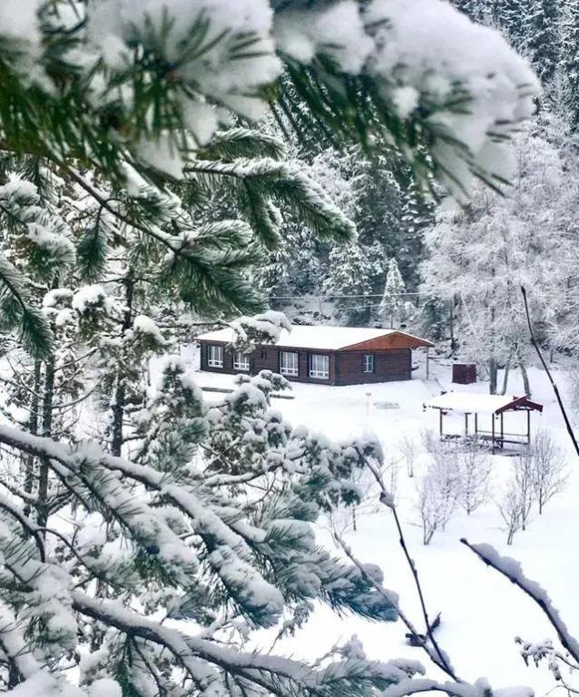 Апартаменты VILLANORDA - главное фото