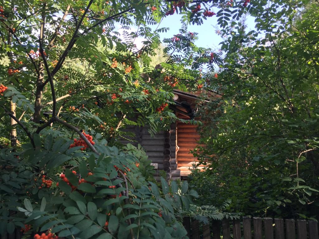 Бутик-отель Архангельская дача - главное фото