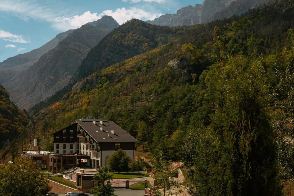 Отель Forrest Terrace - главное фото