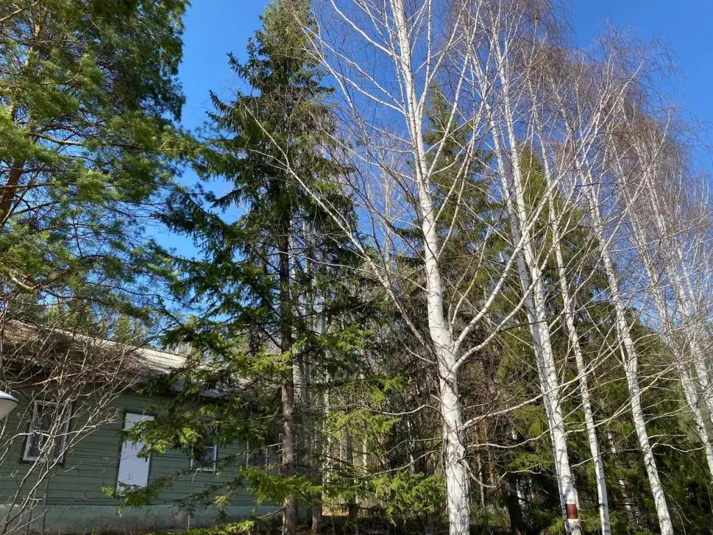 База отдыха Экопарк Бобры - главное фото