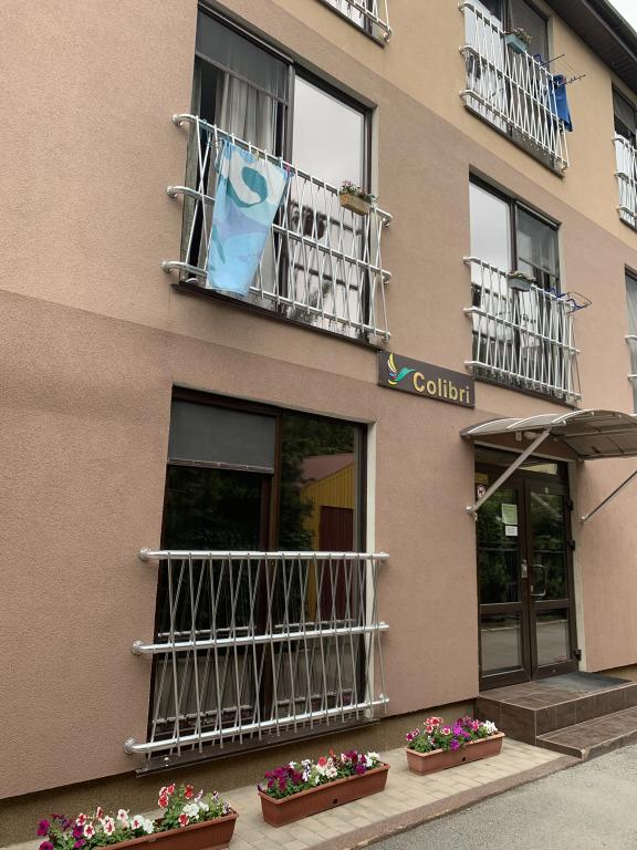 Ассоль - главное фото