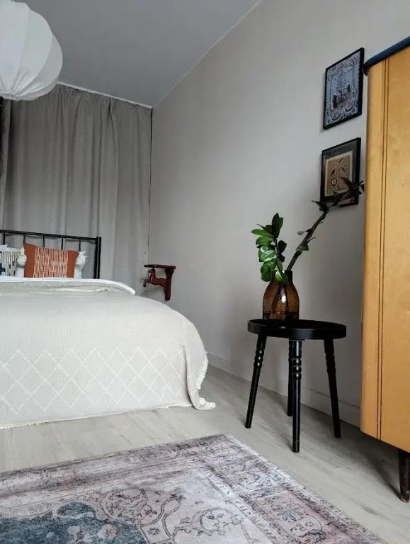 Квартира в центре Петергофа у фонтанов - главное фото