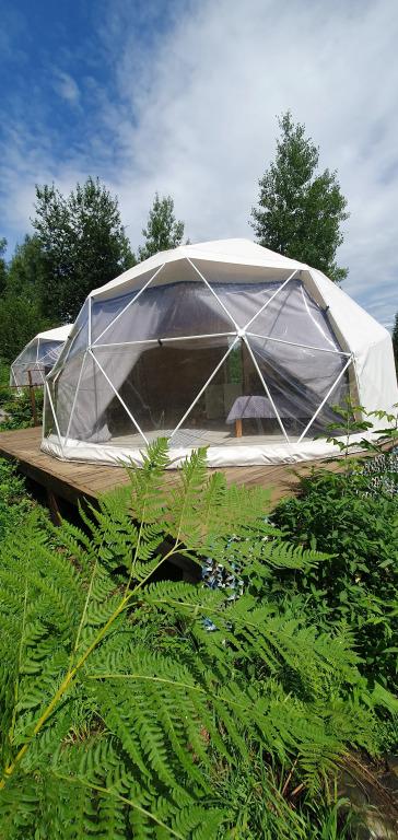 Глэмпинг ГОРЫНЫЧ - главное фото