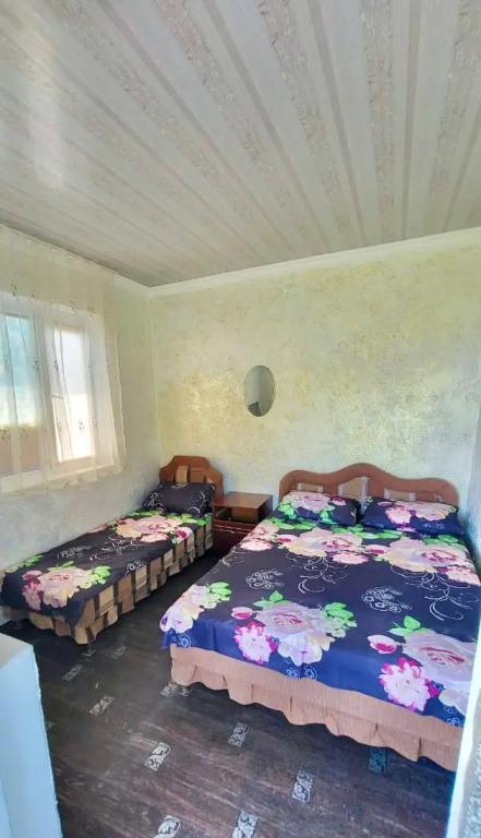 Гостевой Дом у Ипполита - главное фото