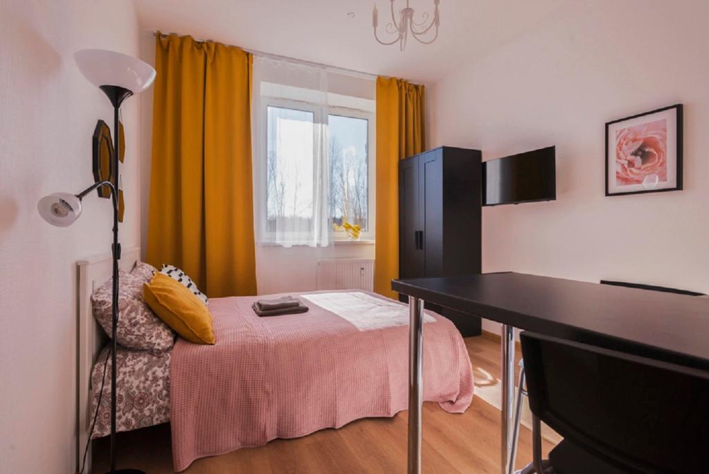 Квартира Студия Желтая в поселке Песочном - главное фото