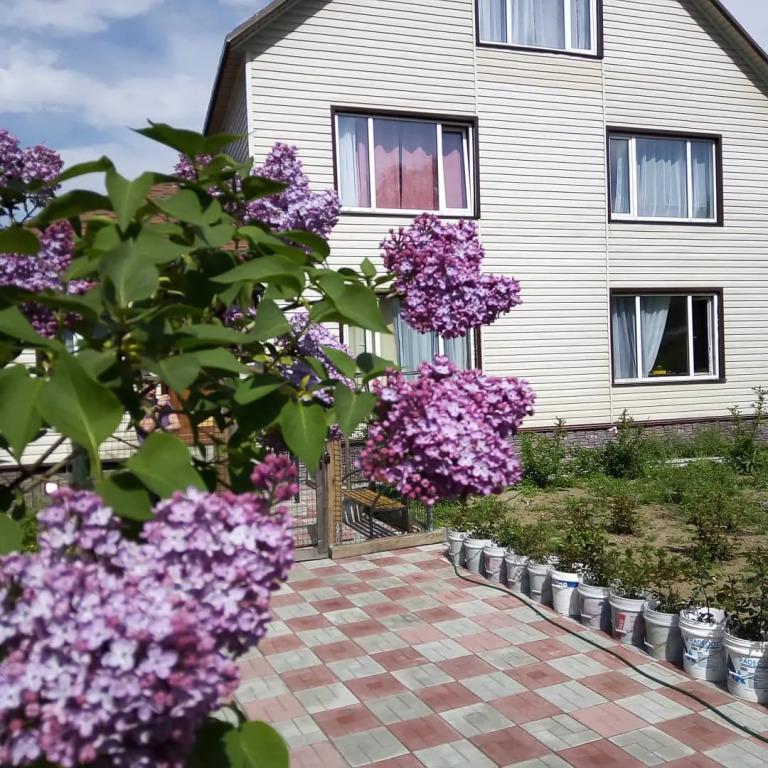 Гостевой дом Камчатдар - главное фото