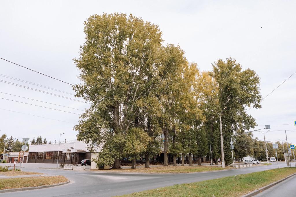 Отель Зодиак - главное фото