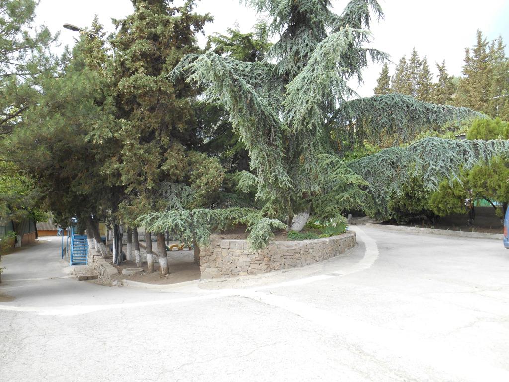 Пансионат Крым - главное фото