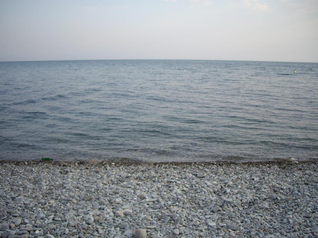 Зорька - главное фото