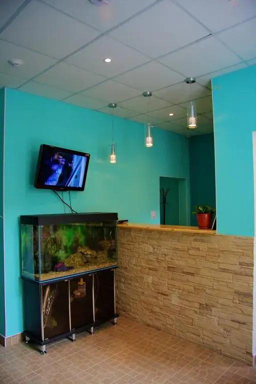 Бор - главное фото